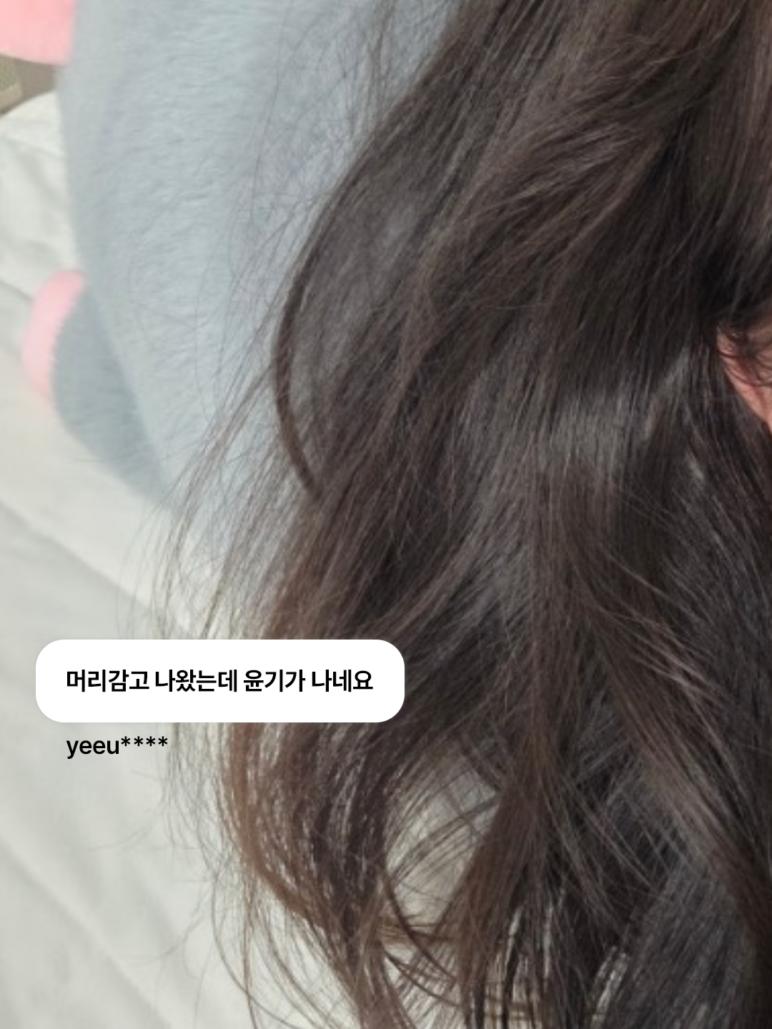 curlyshyll_official 品牌动态图片