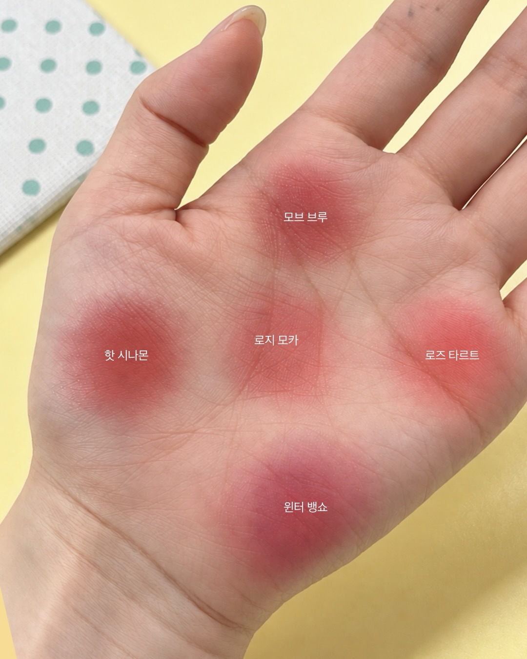 tonymoly 品牌动态图片