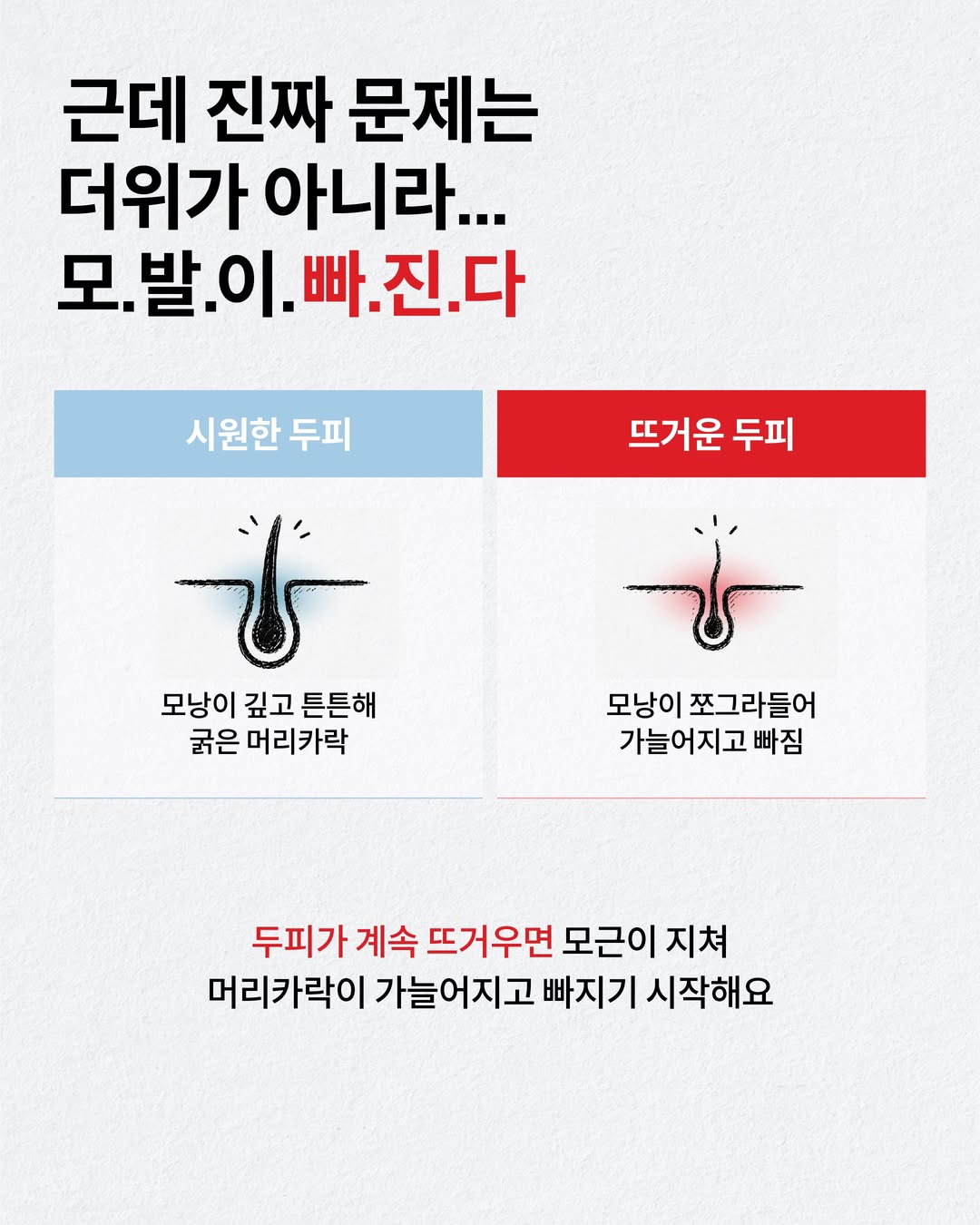 drforhair.kr 品牌动态图片