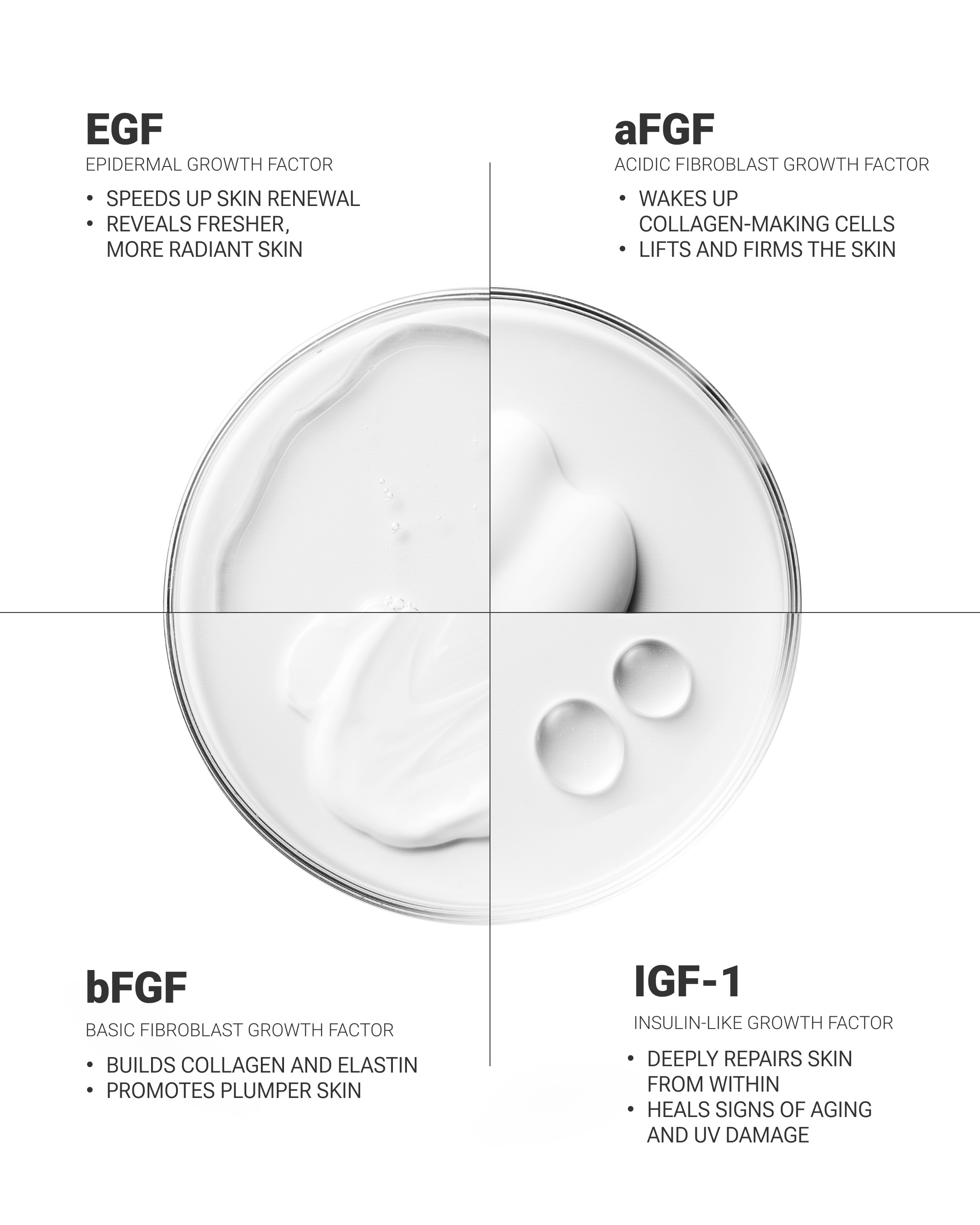 kopher_global 品牌动态图片