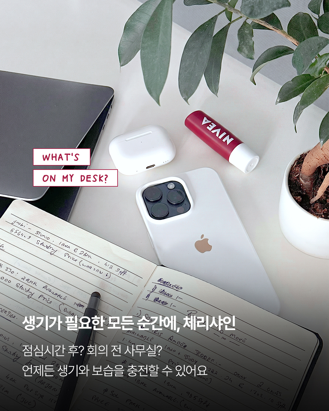 niveakorea 品牌动态图片