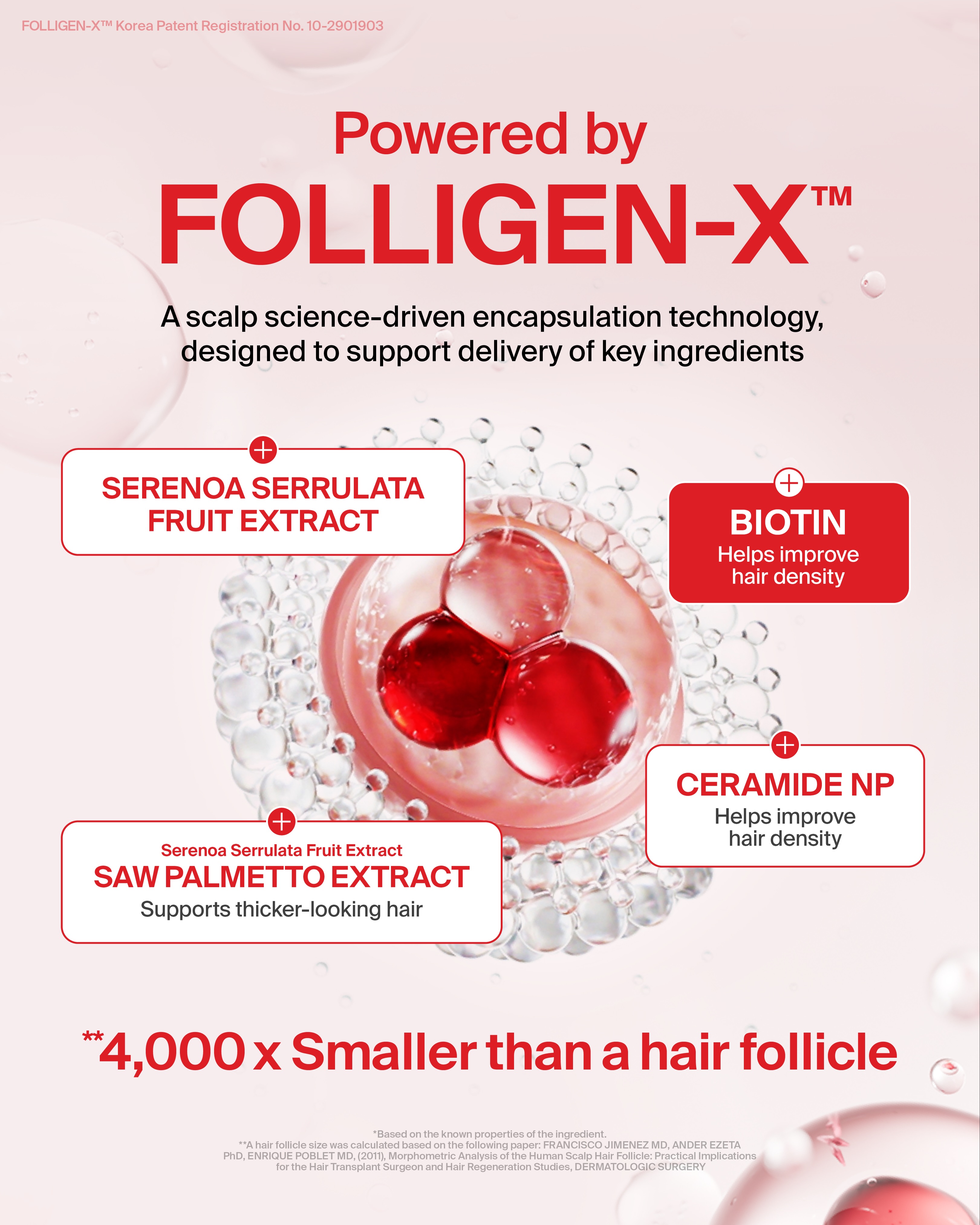 drforhair.global 品牌动态图片