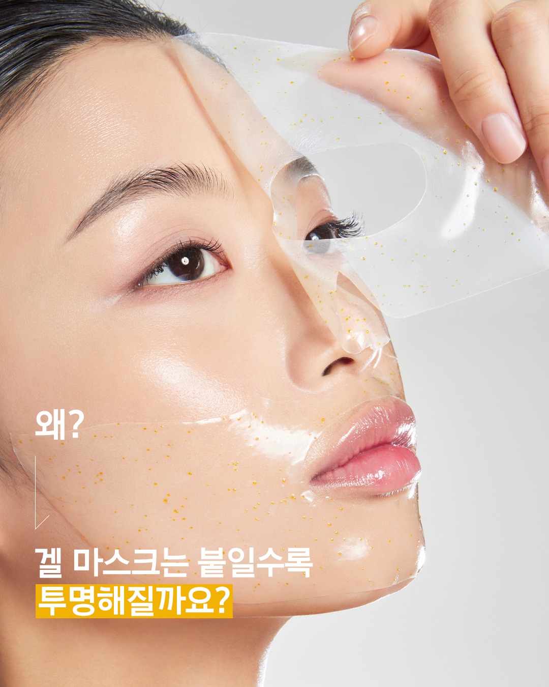 primera.official 品牌动态