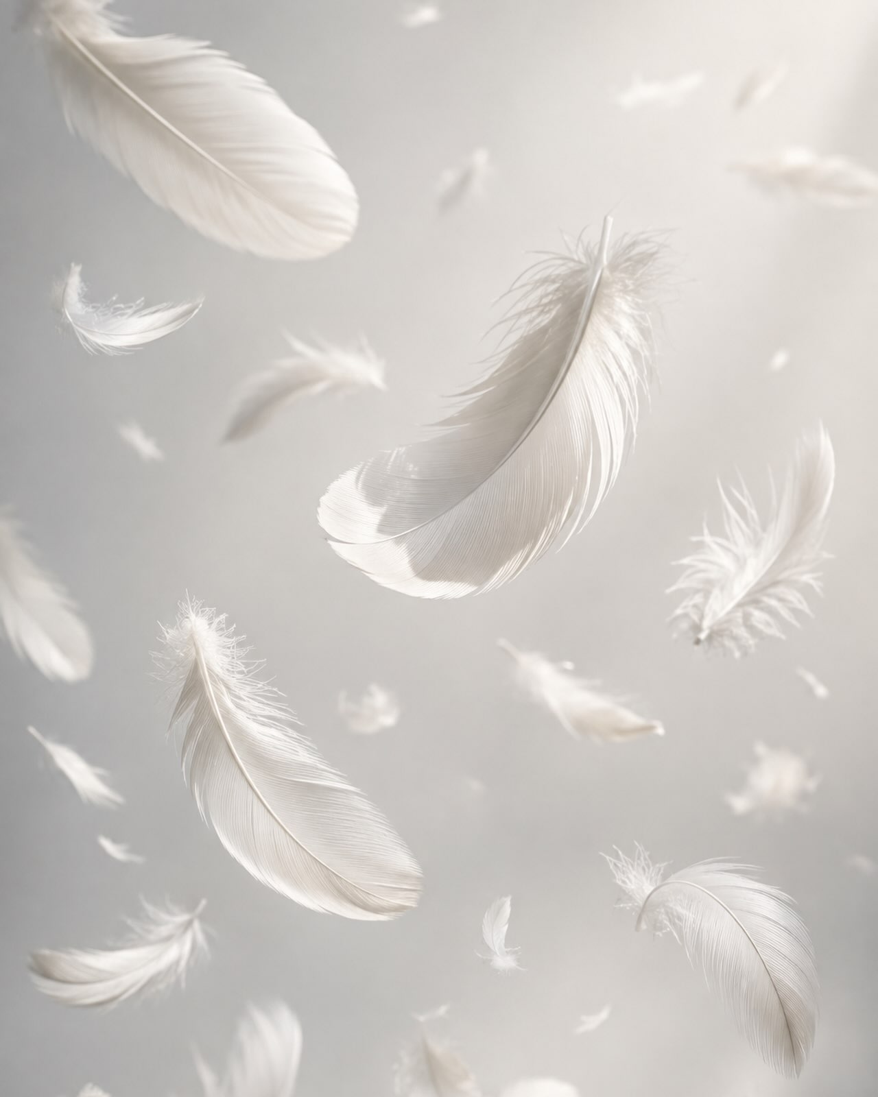 bianco__official 品牌动态图片