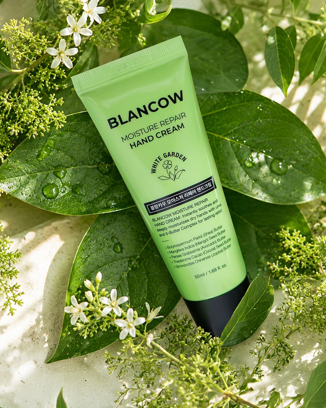 blancow.official 品牌动态
