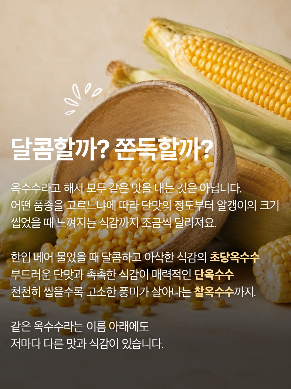 garumaster 品牌动态图片