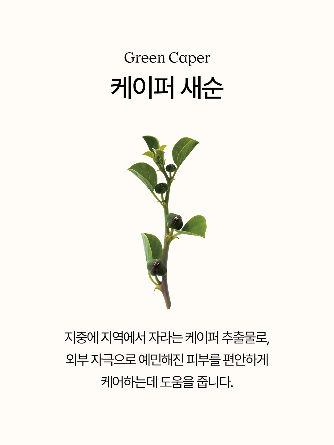 ndpskin.official 品牌动态图片