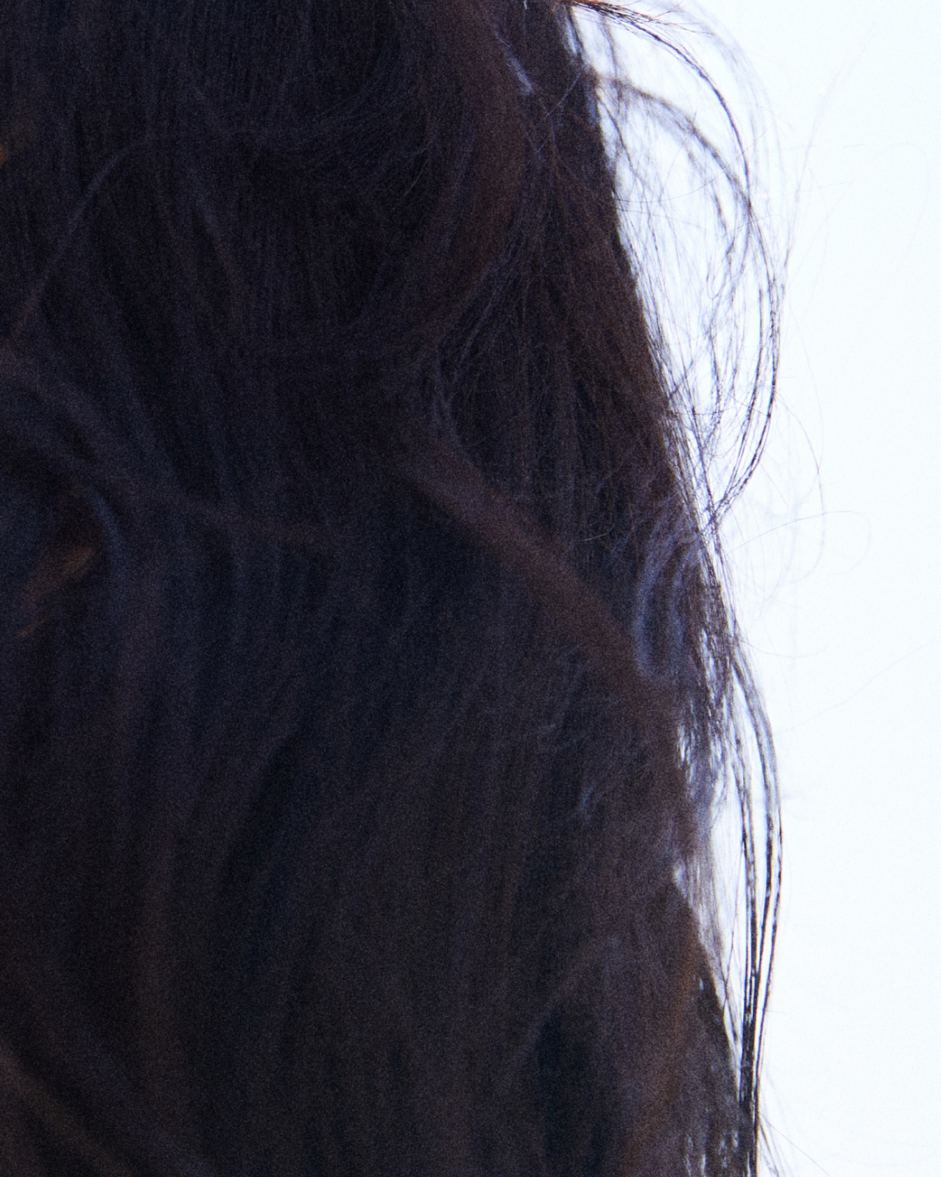 longtake_official 品牌动态
