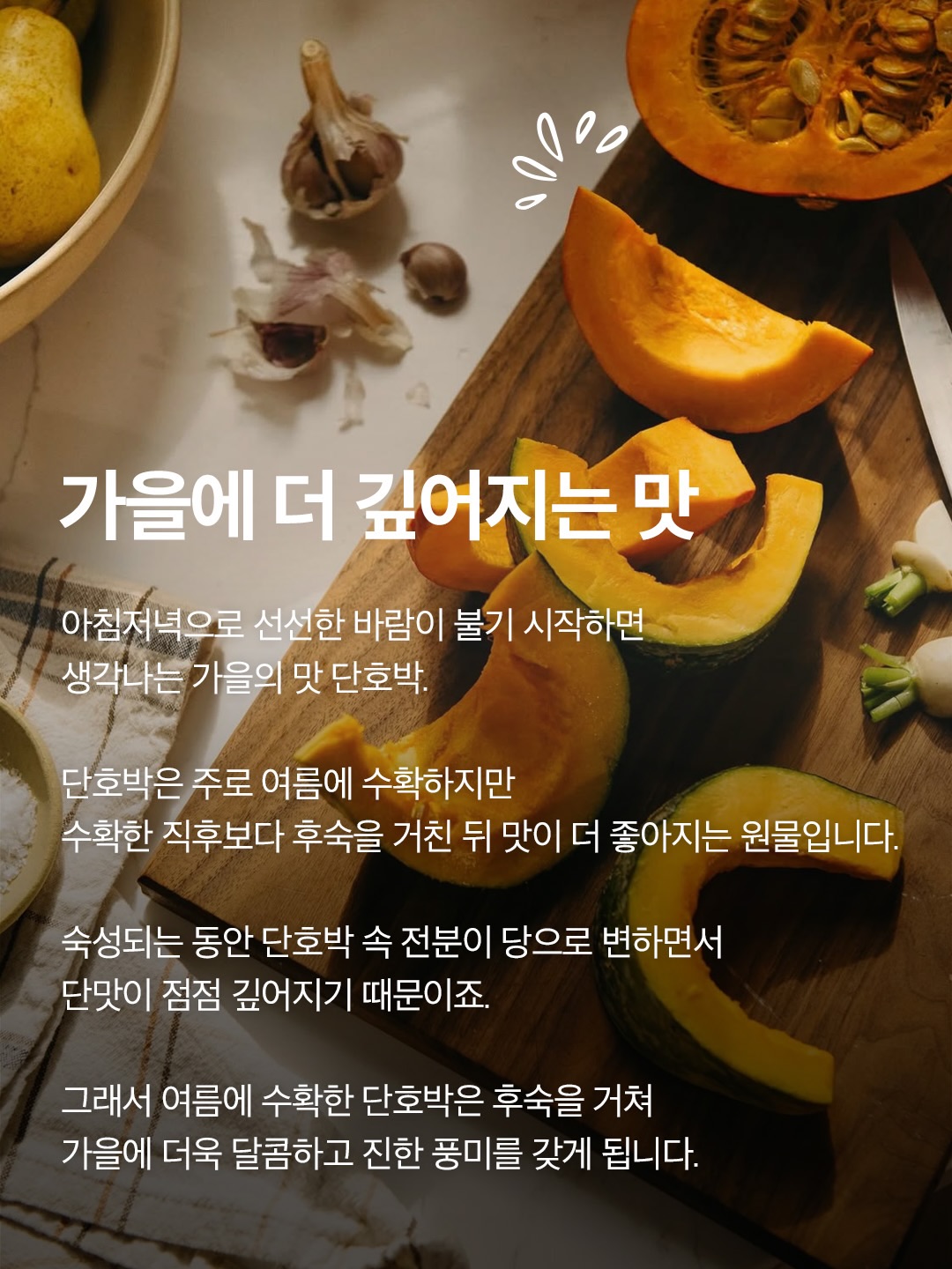garumaster 品牌动态图片