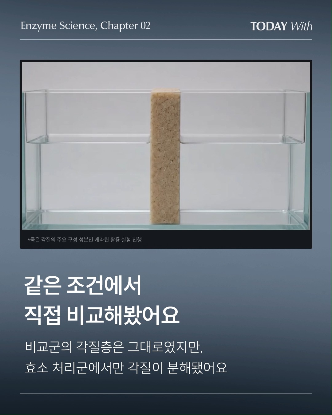 todaywith.korea 视频封面