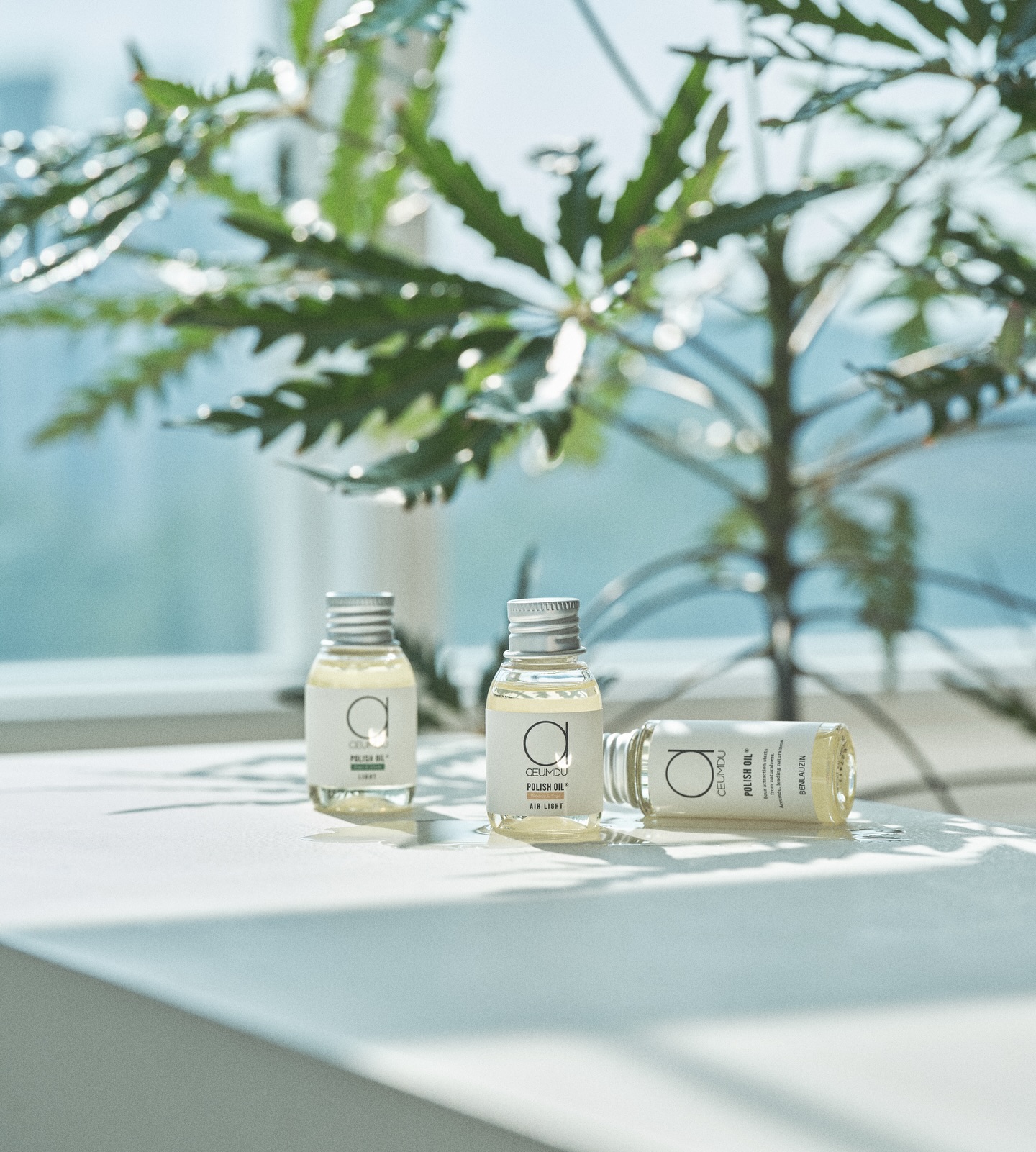 aceumduofficial 品牌动态
