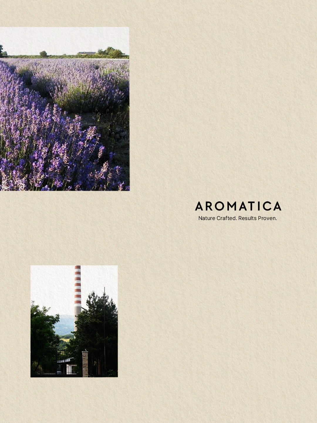 aromatica.life 品牌动态图片
