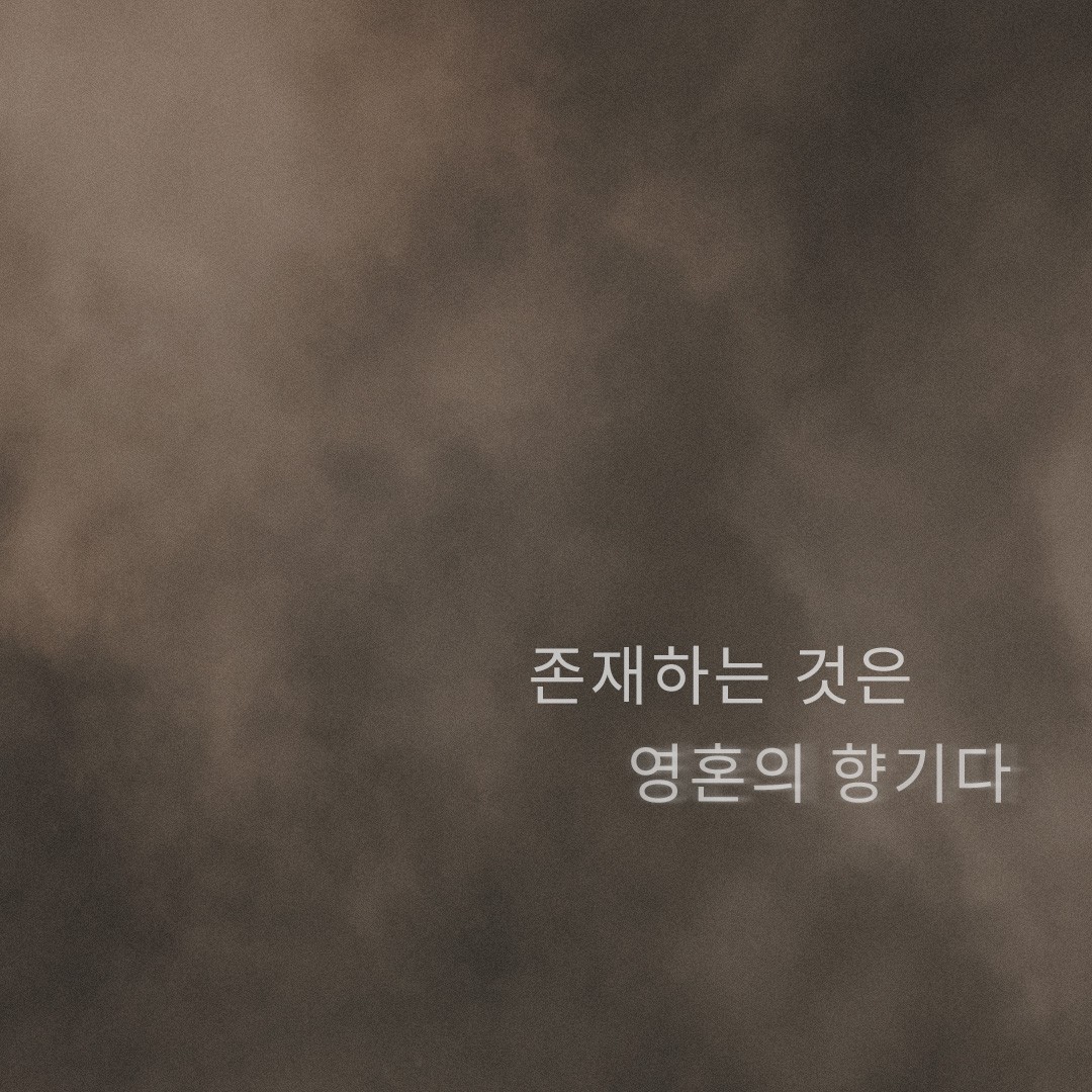 veilment_official 品牌动态
