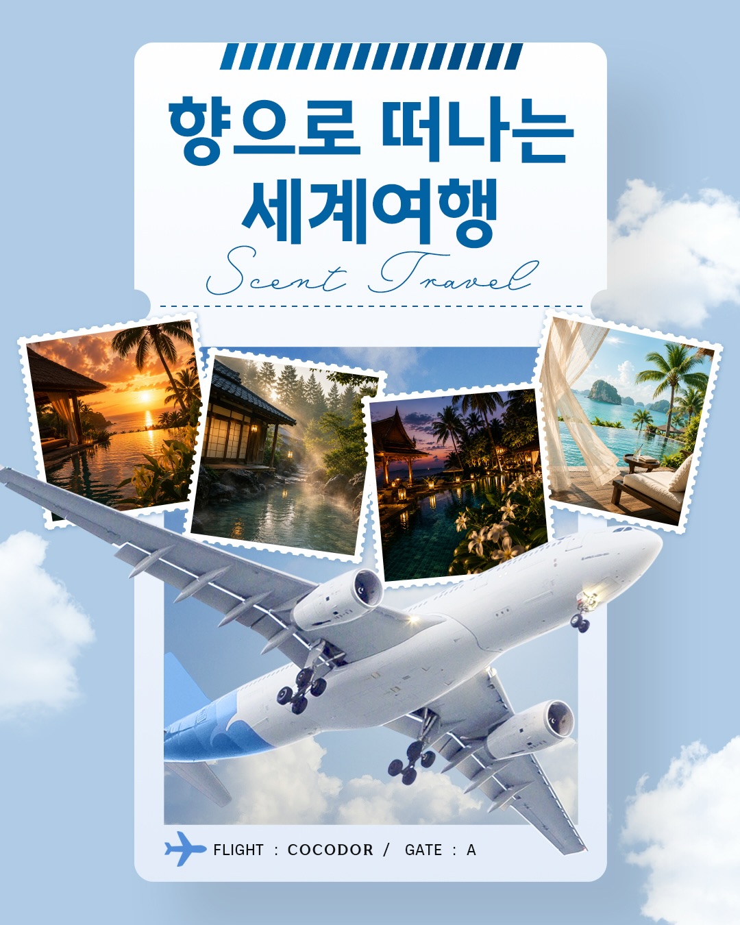 cocodor.official 品牌动态图片