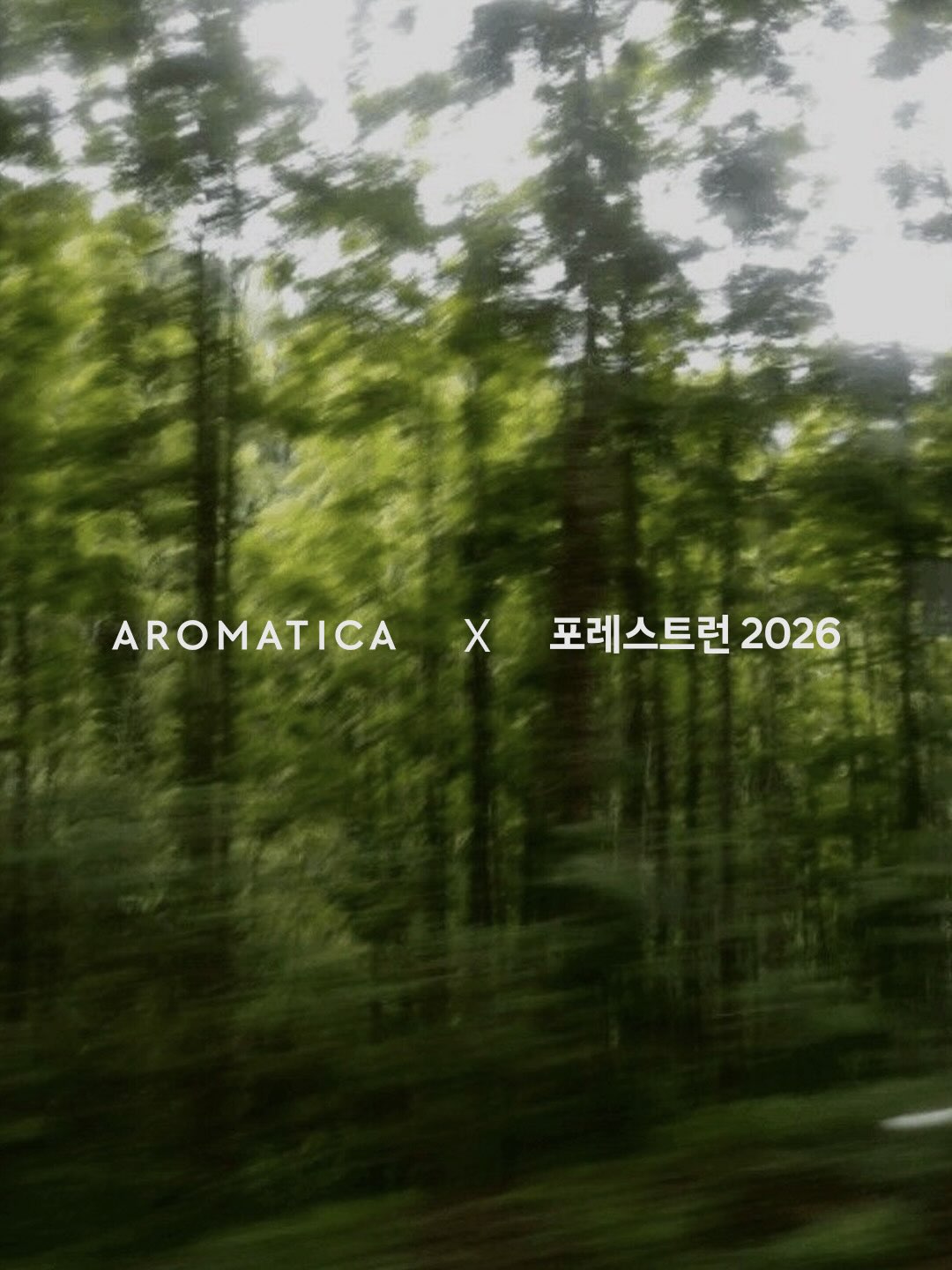 aromatica.life 品牌动态