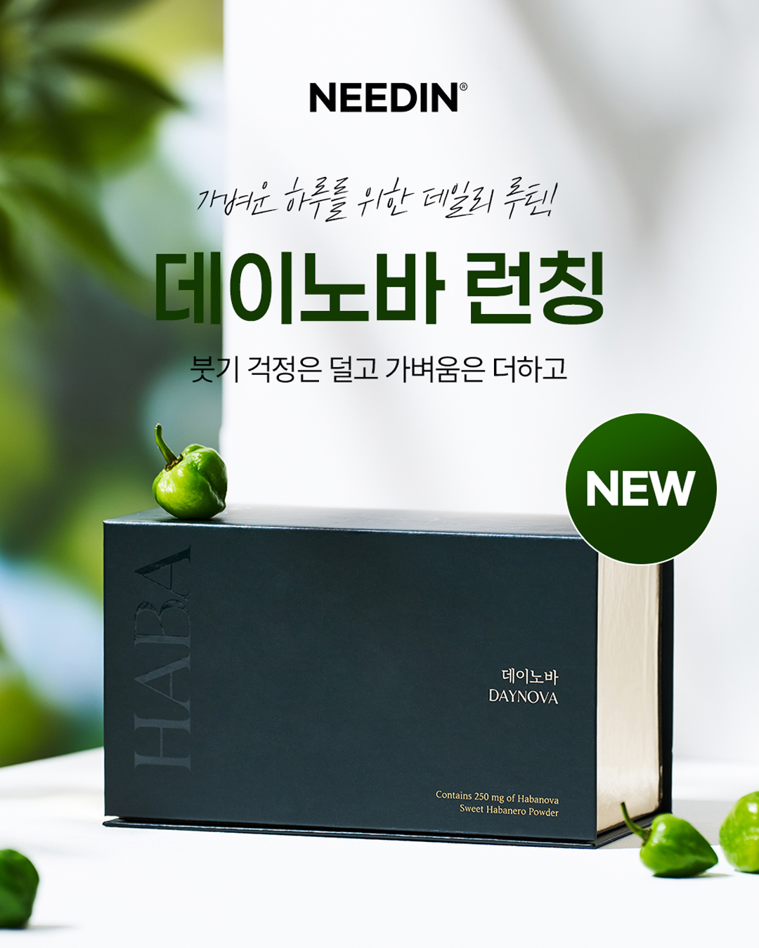 needin_official 品牌动态