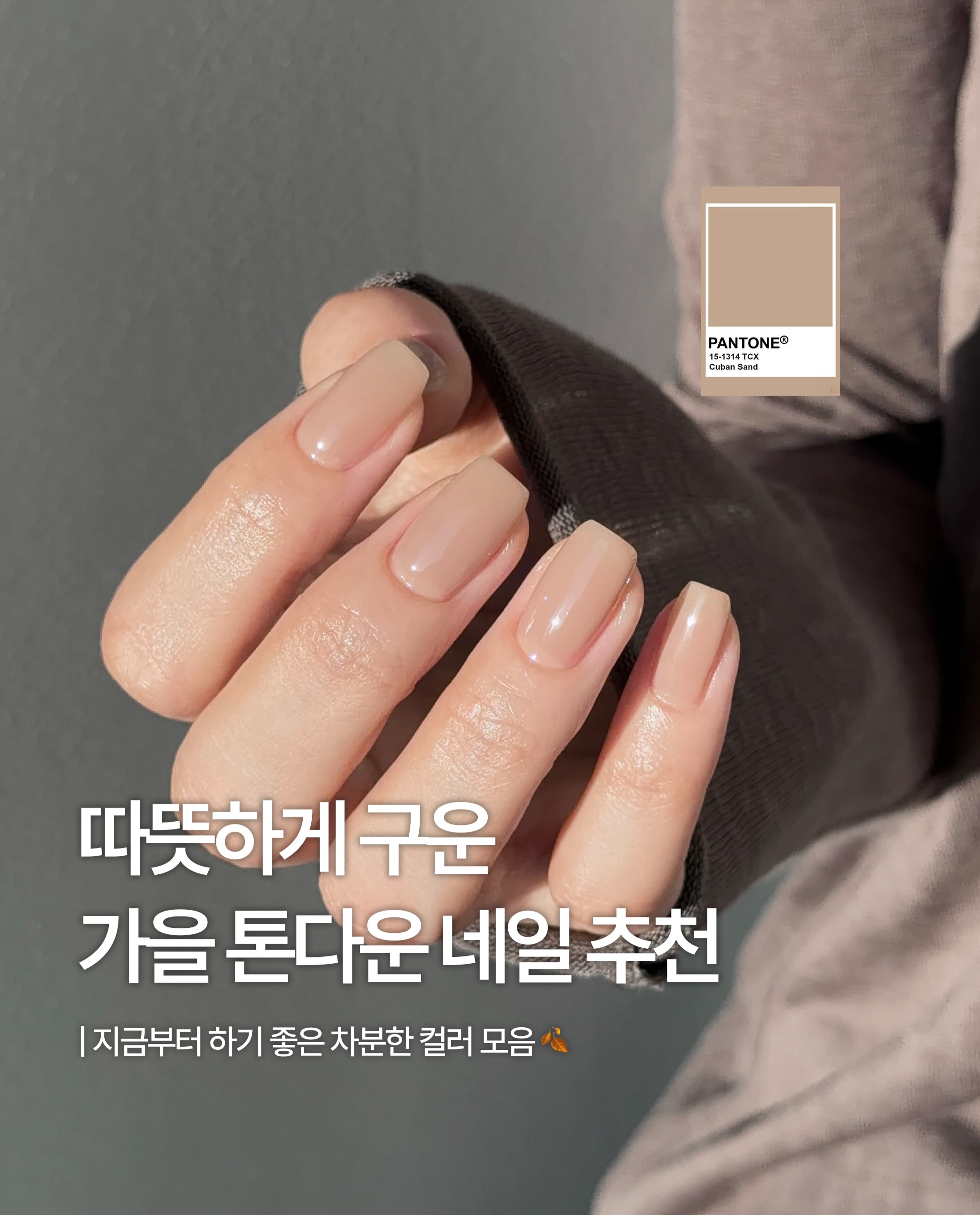 ohora_kr 品牌动态