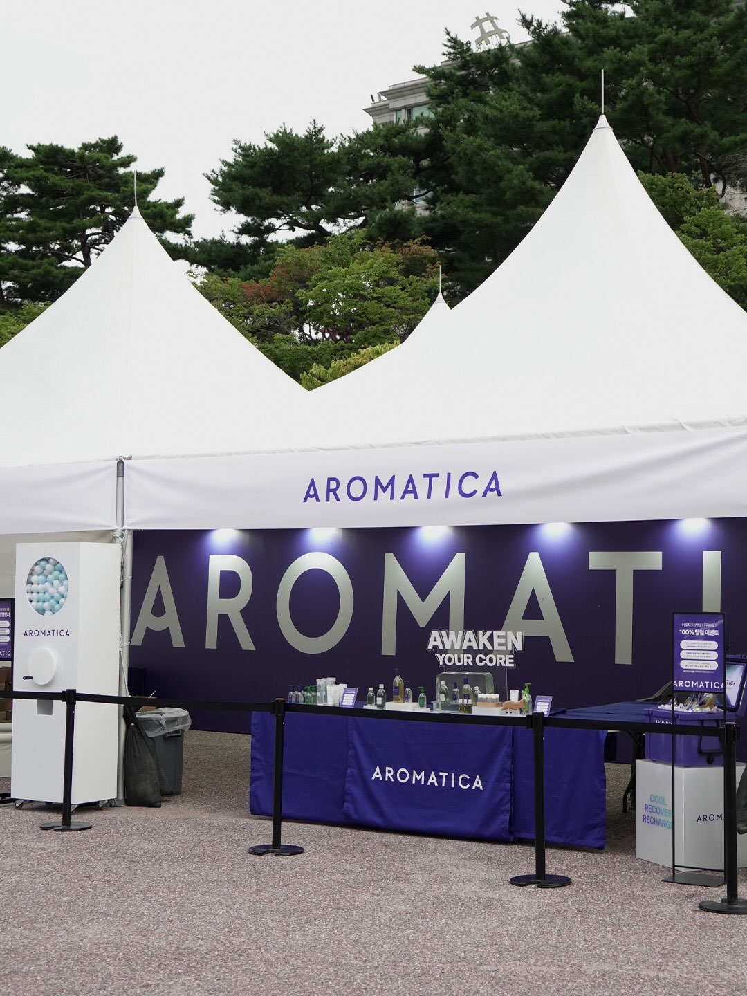 aromatica.life 品牌动态图片