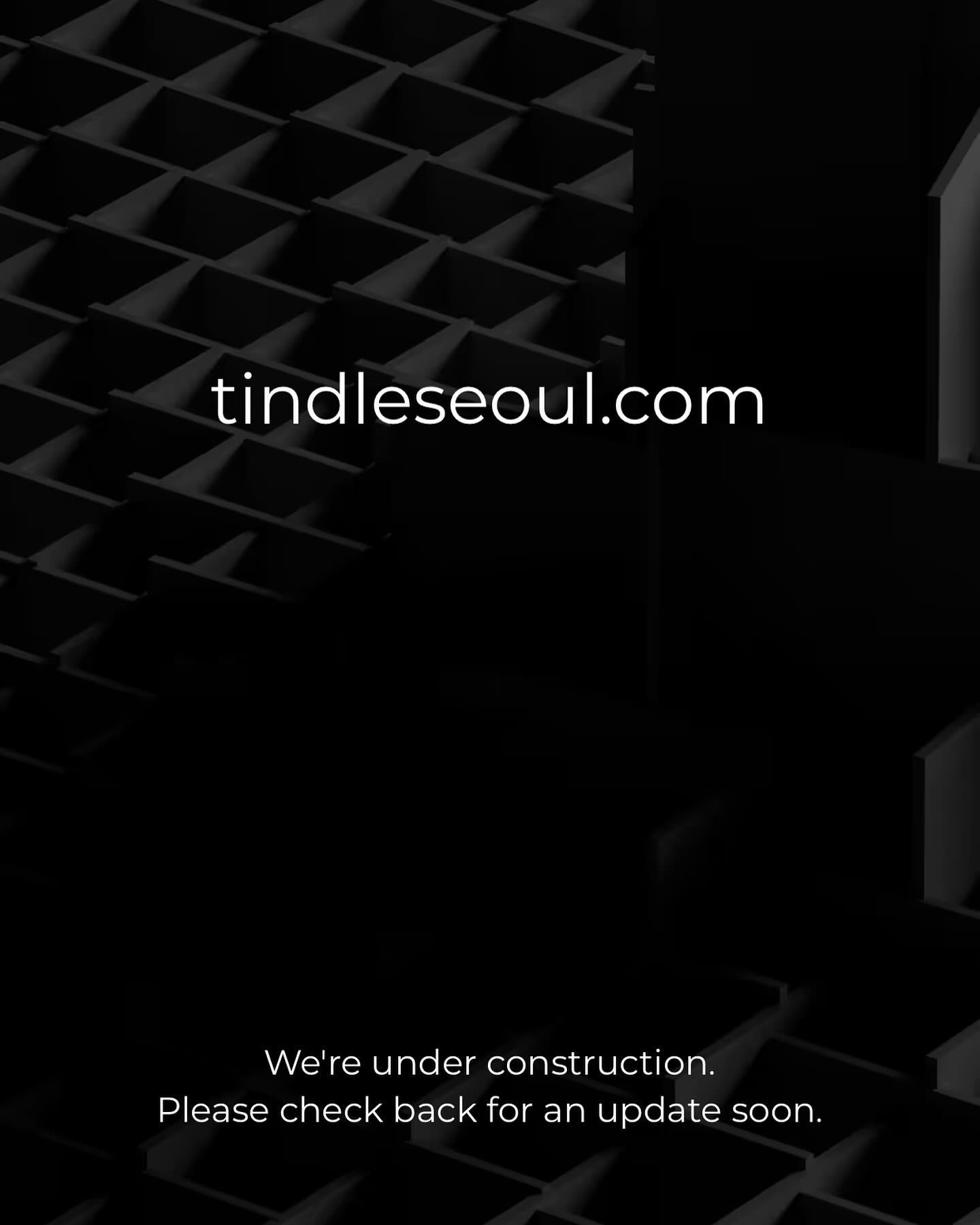 tindle.seoul 品牌动态图片