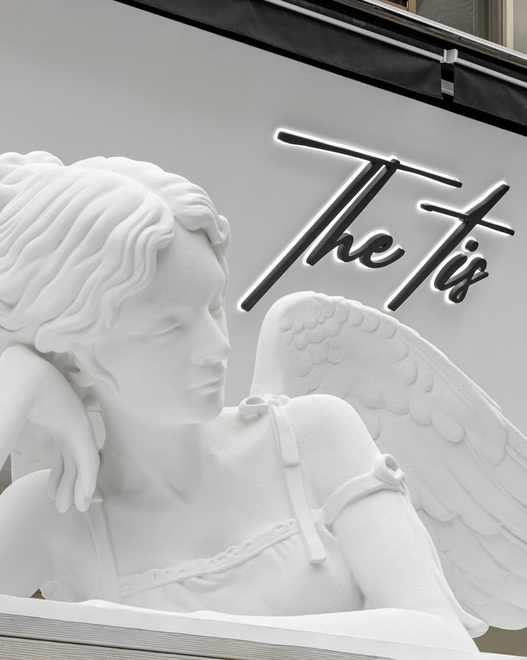 thetis.kr 品牌动态图片