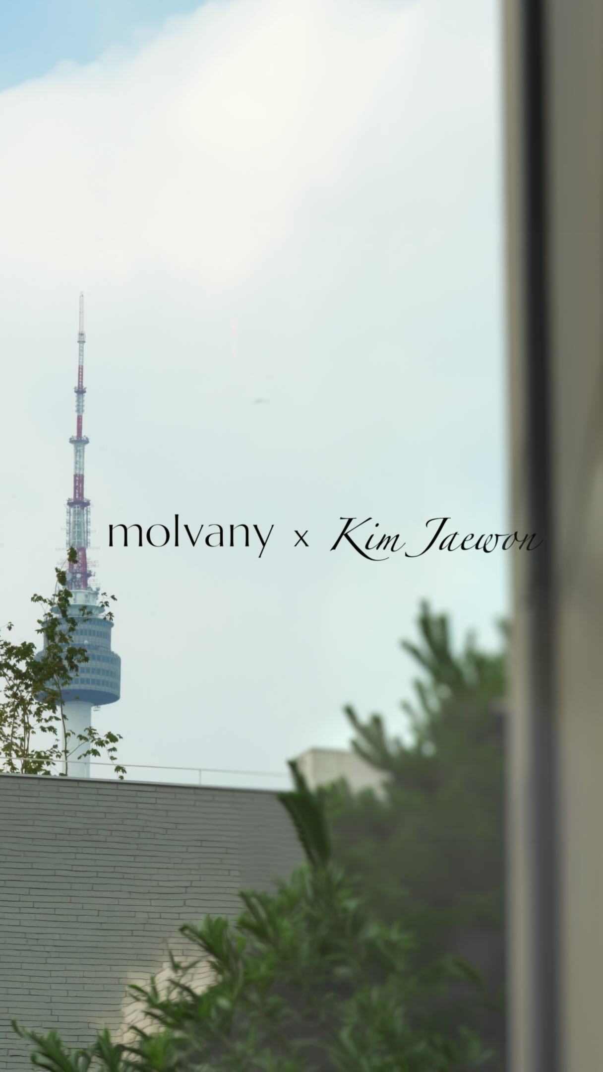 molvany_official 品牌动态