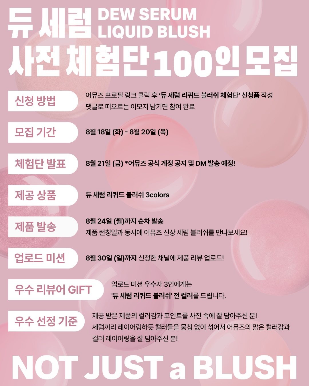 amuse 品牌动态图片
