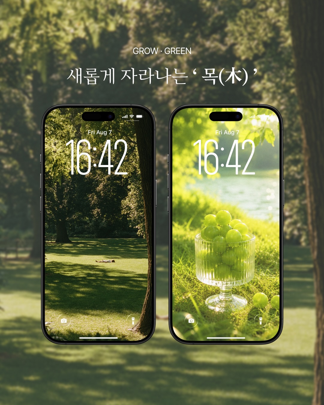 wbl_korea 品牌动态图片