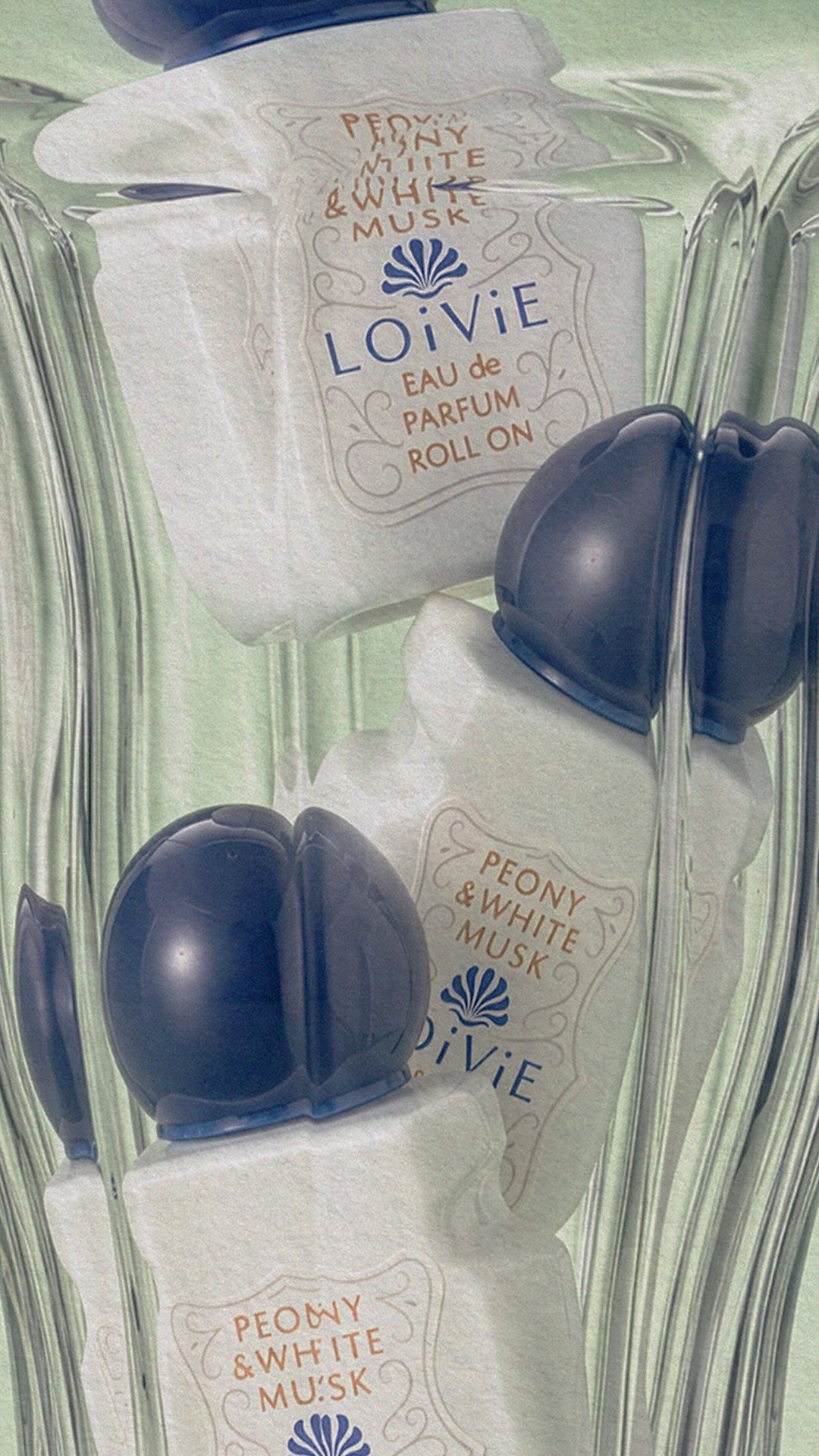 loivie.official 视频封面
