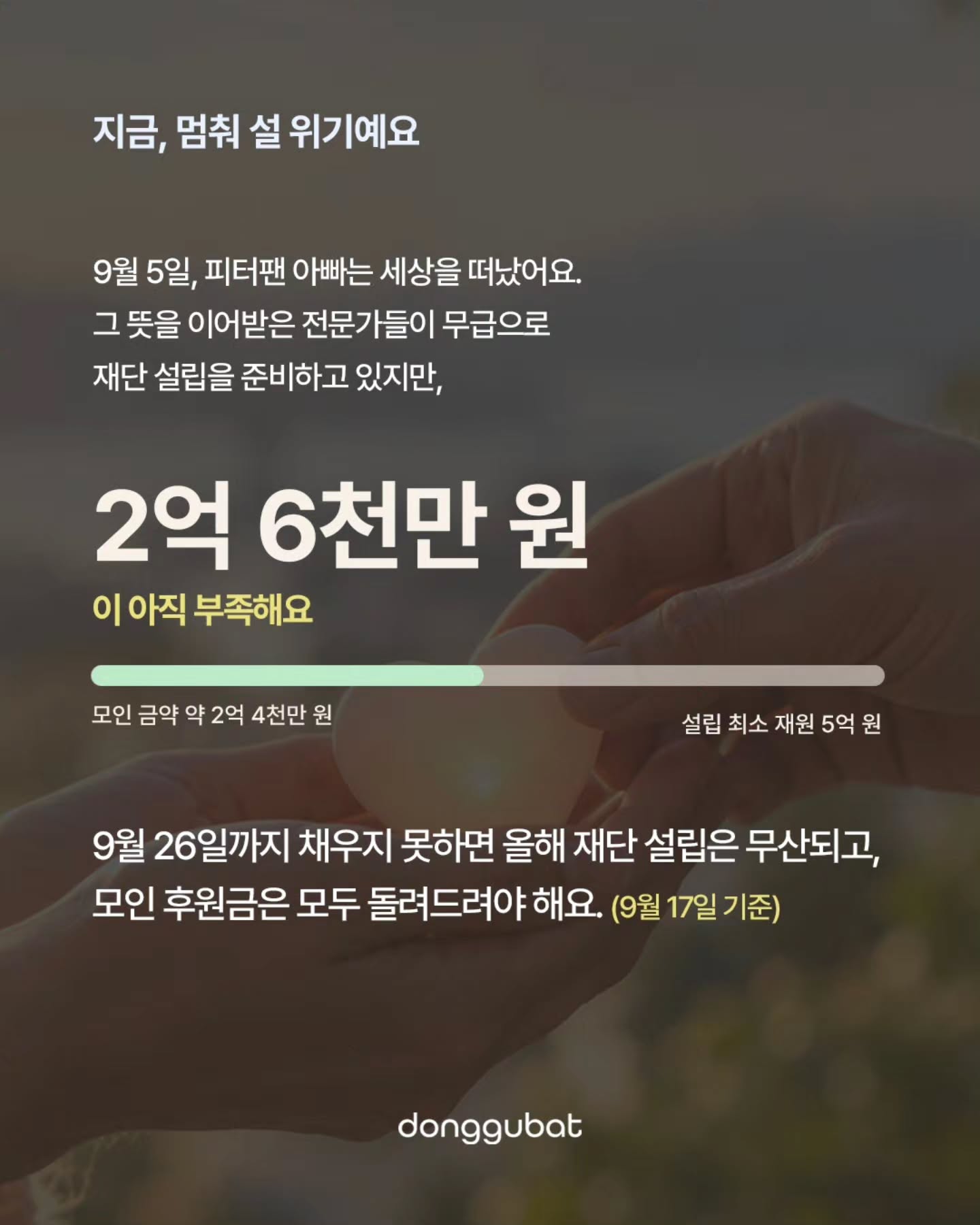 donggubat_story 品牌动态图片