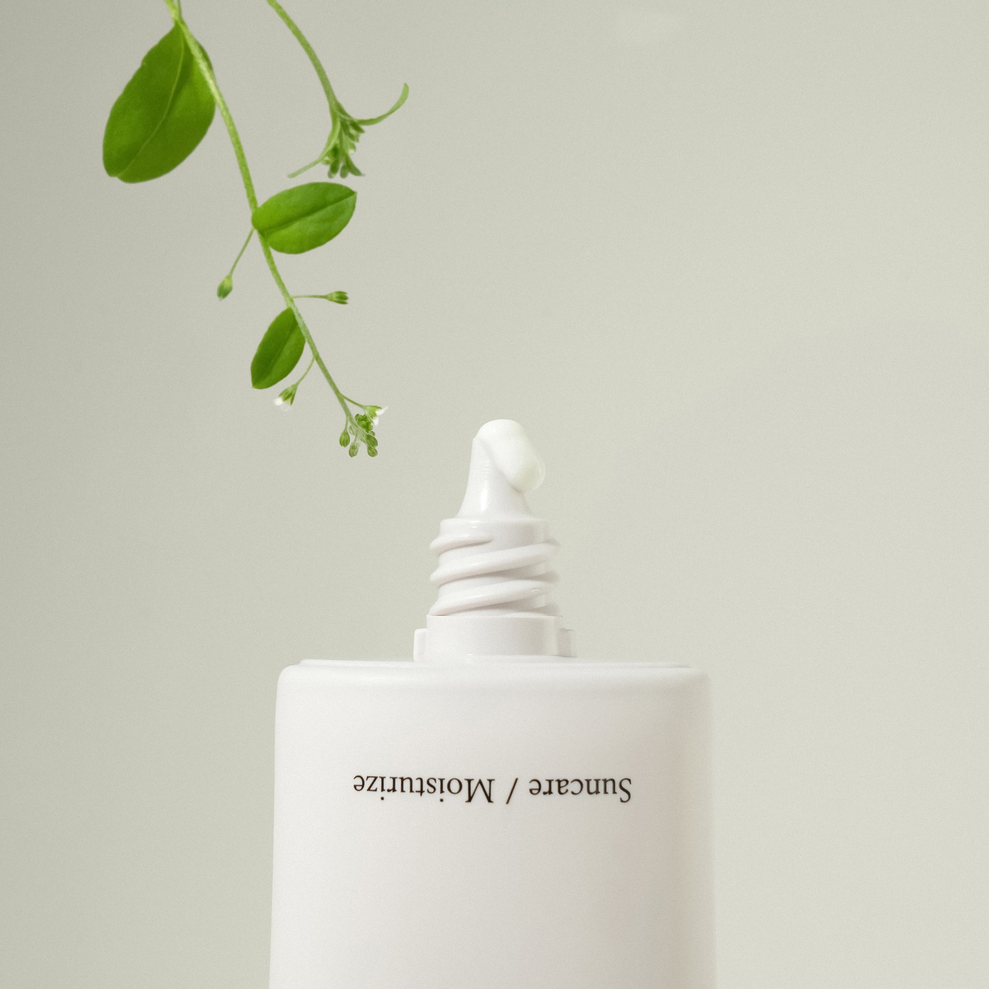 srb_korea 品牌动态图片