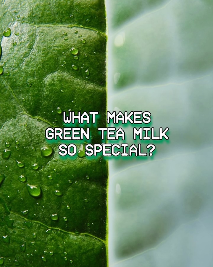 innisfreeofficial 品牌动态