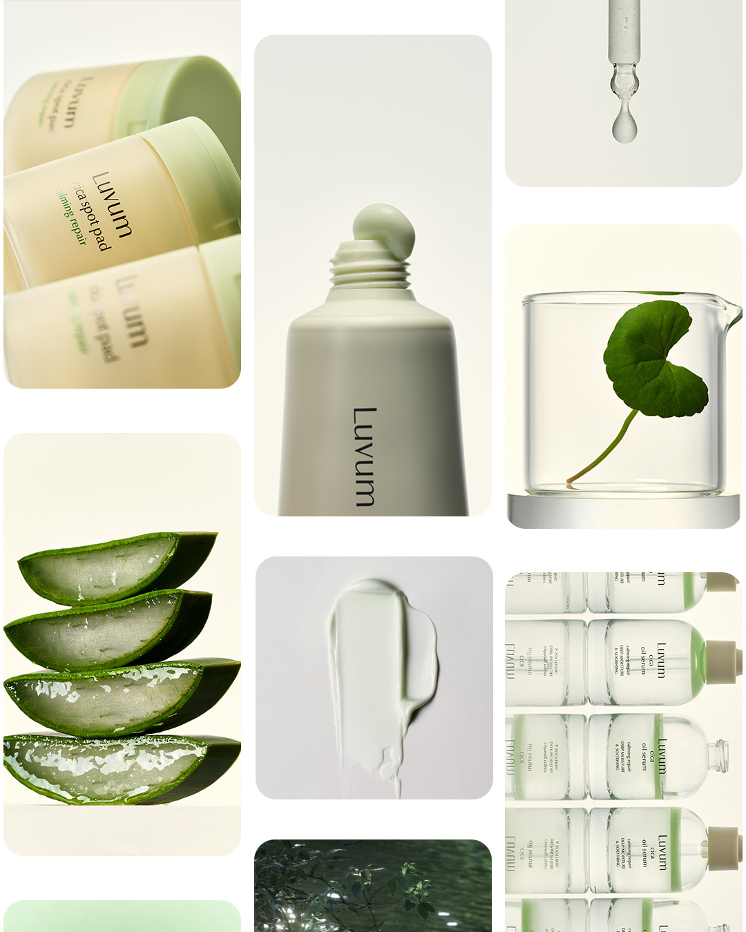 luvum_official 品牌动态