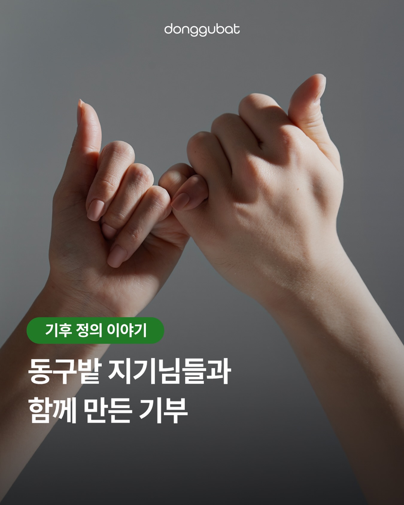 donggubat_story 品牌动态