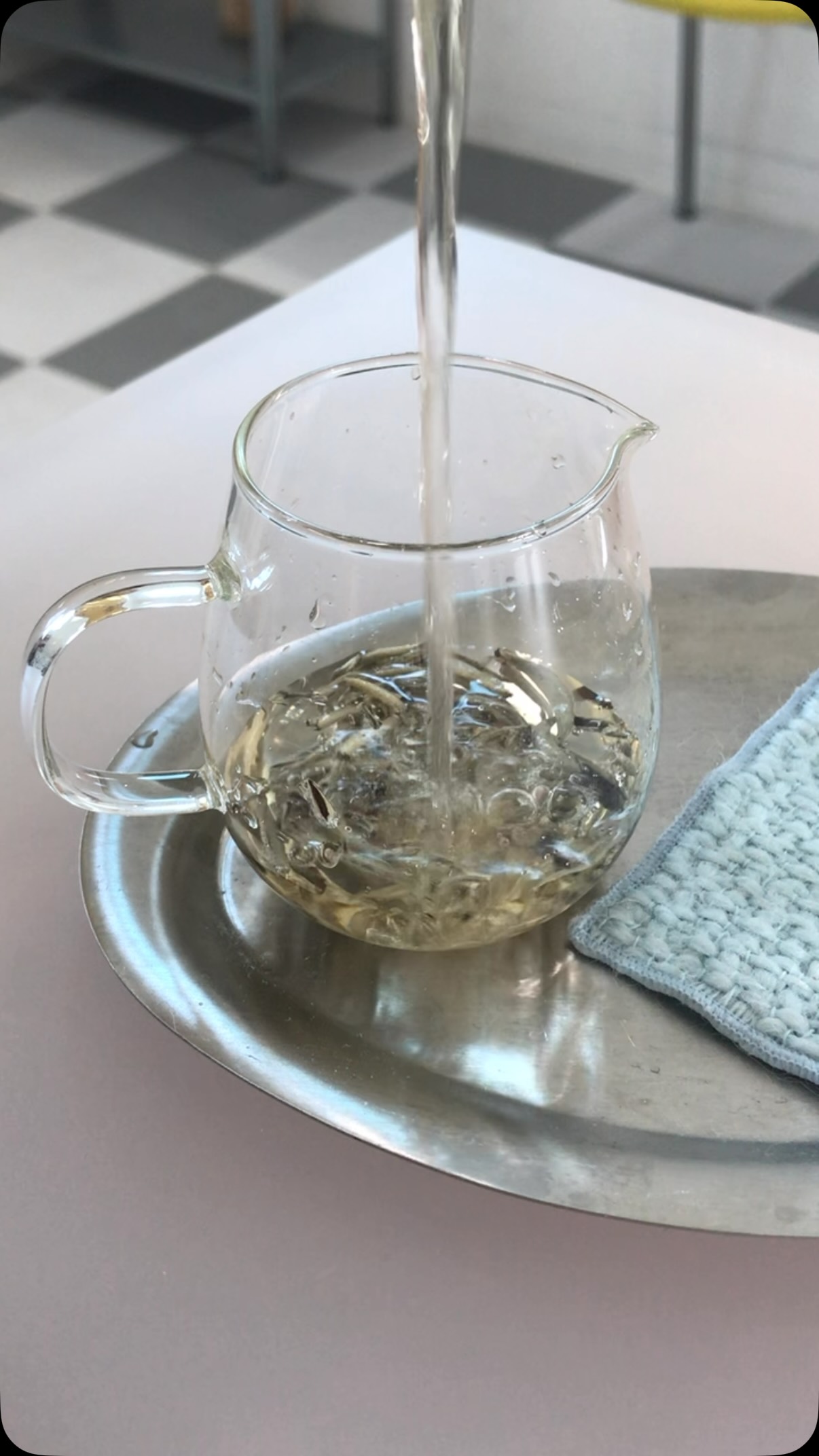teabless_official 视频封面
