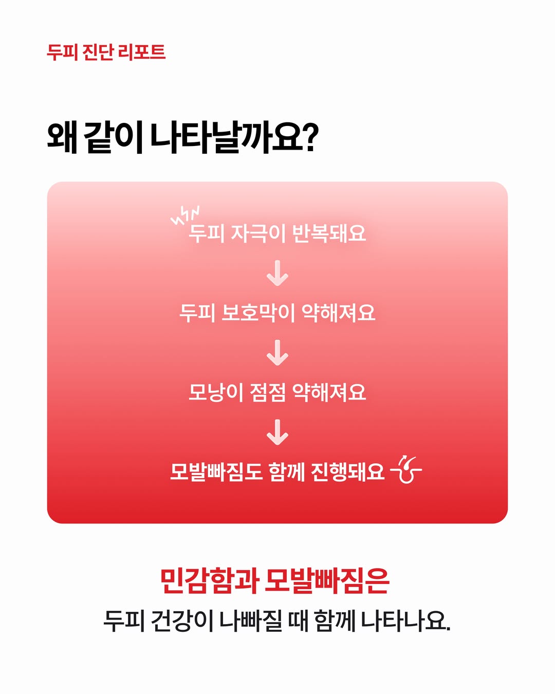 drforhair.kr 品牌动态图片