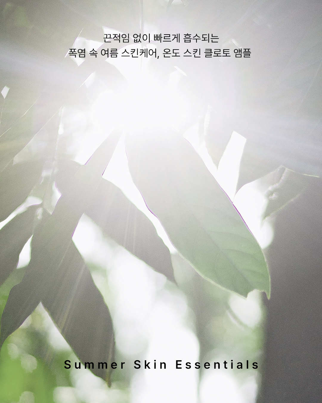 ondo_cosmetic 品牌动态图片
