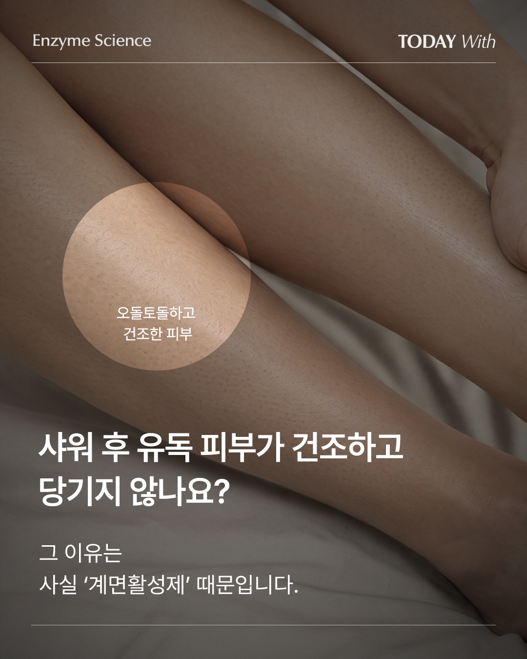 todaywith.korea 品牌动态图片
