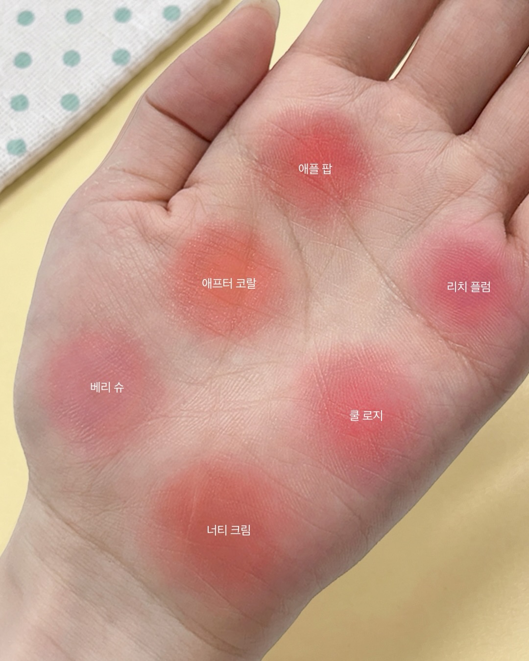 tonymoly 品牌动态图片