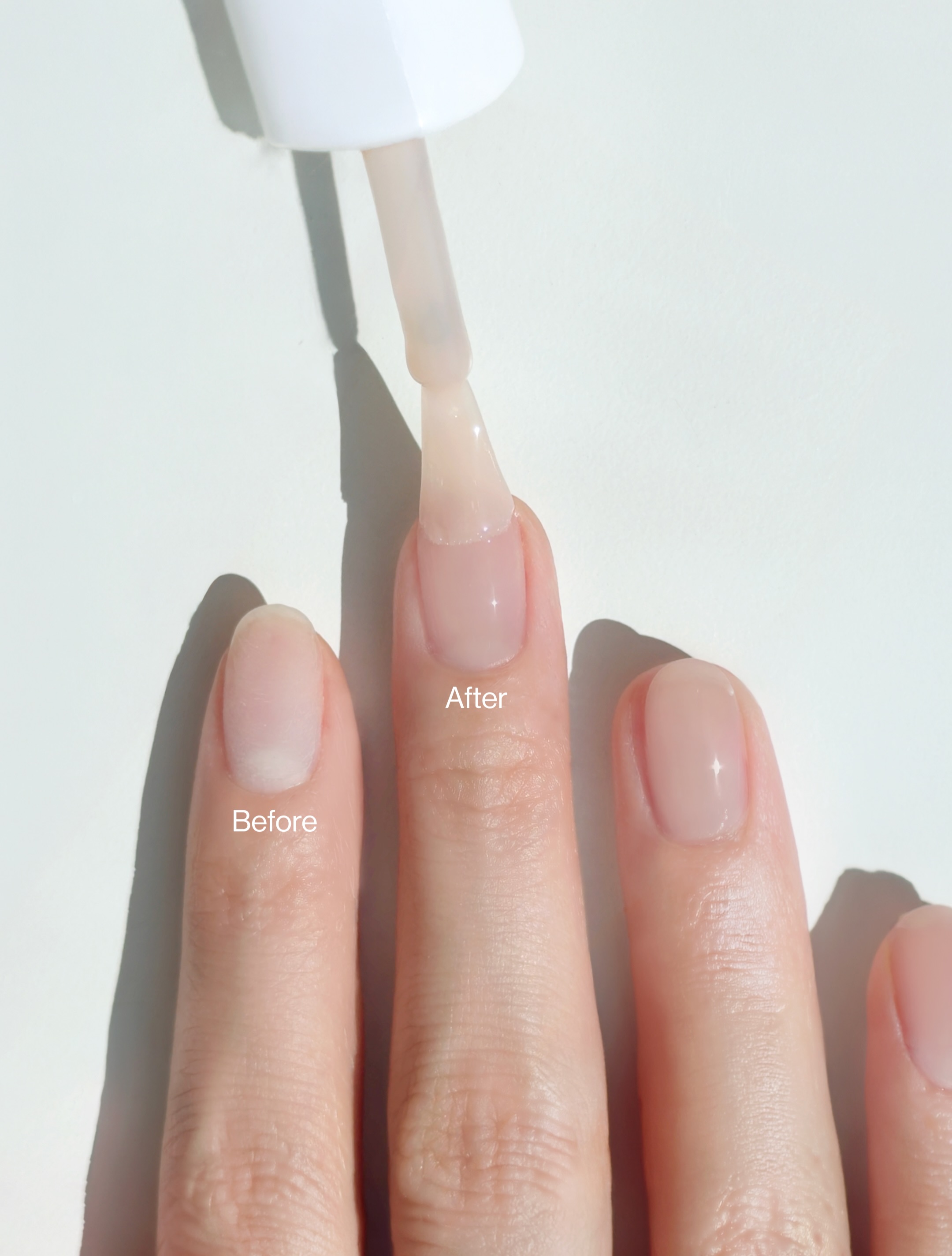 ohora_kr 品牌动态图片